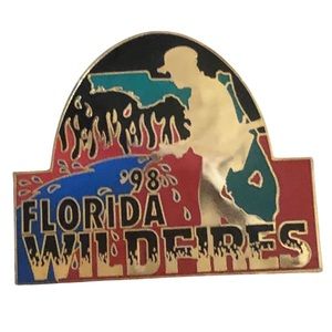 Rare 1998 Florida Fires thank you pin collectible fireman